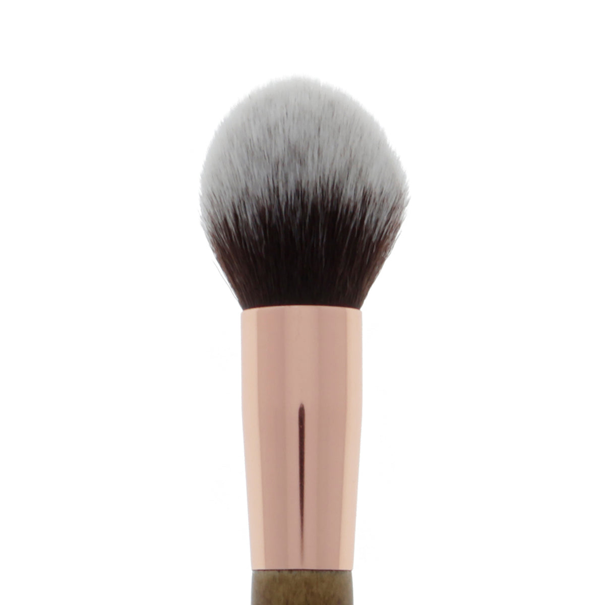 124_Amorus_USA_Premium_Edition